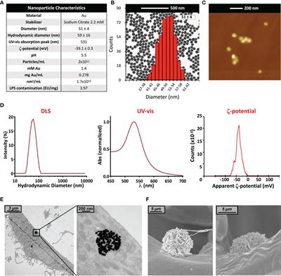 Innate Memory Reprogramming by Gold Nanoparticles Depends on the Microbial Agents That Induce Memory